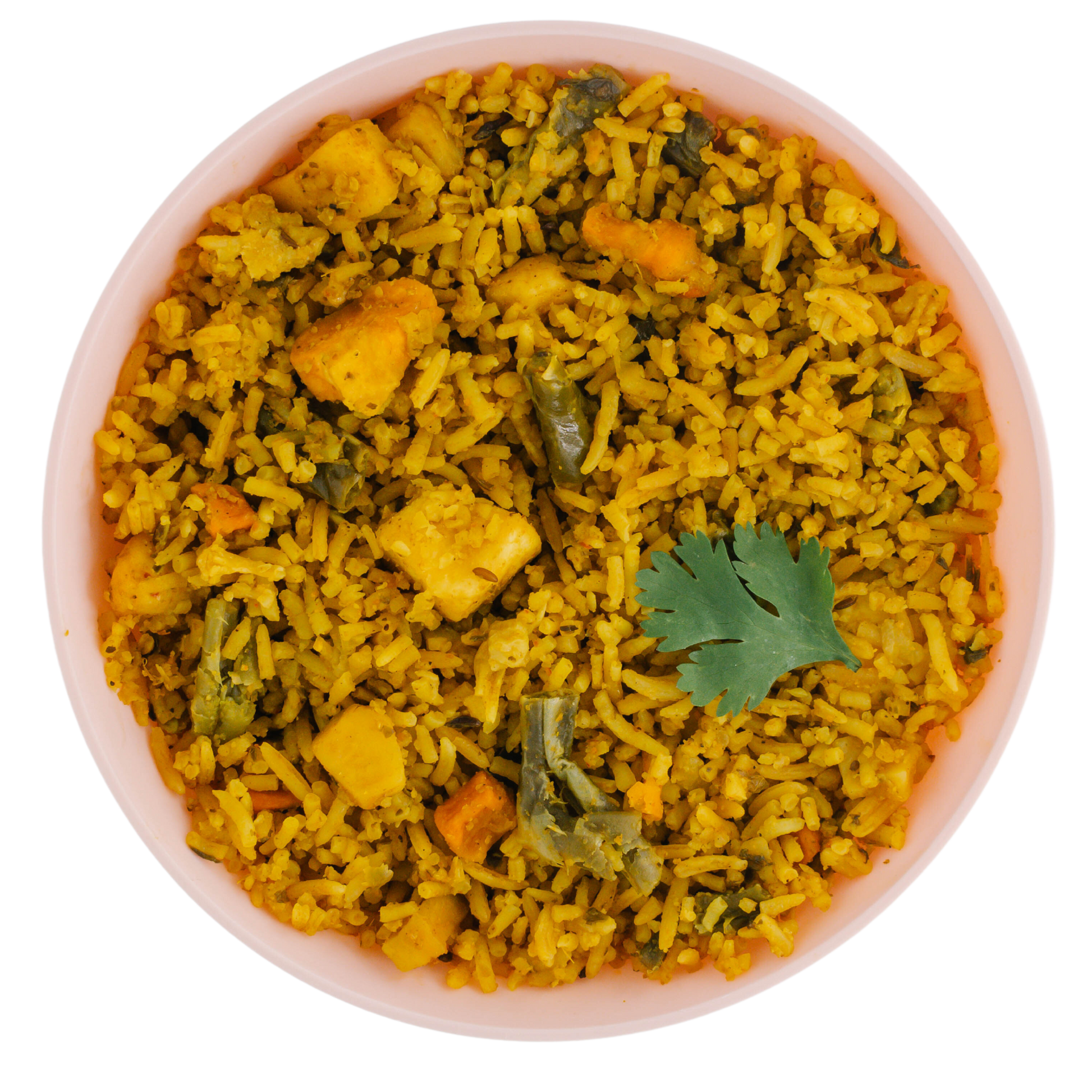 Vegetable Biryani 